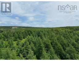 Parcel B Macleod Settlement Road, Upper Southwest Mabou, NS B0E2W0 Photo 4