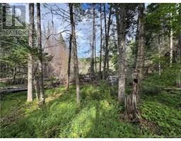 Lot 0 Route 380, Bell Grove, NB E7G4E3 Photo 3