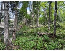 Lot 0 Route 380, Bell Grove, NB E7G4E3 Photo 4