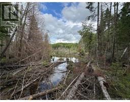 Lot 0 Route 380, Bell Grove, NB E7G4E3 Photo 5