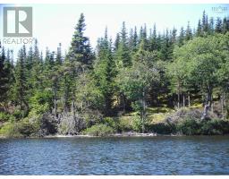 45 Joanne Langford Dr, French Road, NS B1K3P9 Photo 3