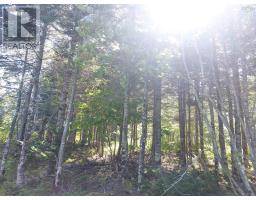 45 Joanne Langford Dr, French Road, NS B1K3P9 Photo 4