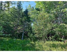 45 Joanne Langford Dr, French Road, NS B1K3P9 Photo 5