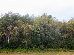 0 89 Road, Middlebro, MB R0A1B0 Photo 4