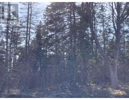 Lot 21 10 Mary Cecelia Ridge, Antigonish County, NS B0H1P0 Photo 4