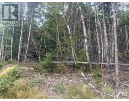 Lot 6 Lochiel Lake Road, South Lochaber, NS B2G2L3 Photo 4
