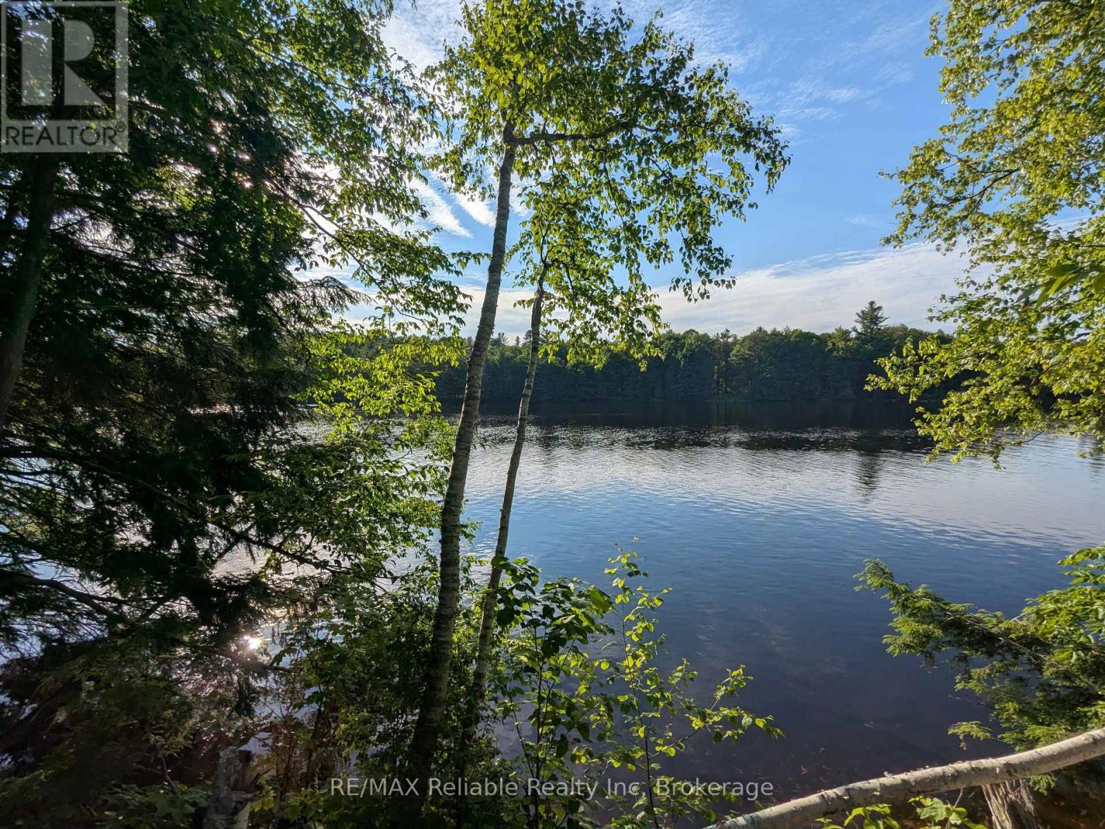223 Shady Maple Road