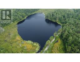 Part Lot 31 Rose Point Trail, Seguin, ON P2A0B2 Photo 3