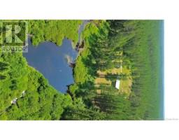 194 Meadow Brook Road, Cains River, NB E9B0E6 Photo 5