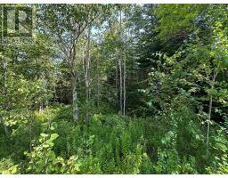 Lot 101 Crouses Settlement Road, Crouses Settlement, NS B0J2C0 Photo 5