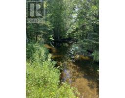 0 Grand Mira North Road, Marion Bridge, NS B1K1B2 Photo 2