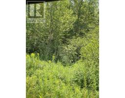 0 Grand Mira North Road, Marion Bridge, NS B1K1B2 Photo 3