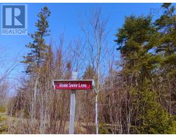 12 Johnny Cash Lane, Juniper Mountain, NS B1K0C2 Photo 2