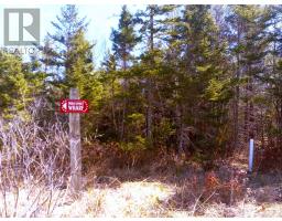 12 Johnny Cash Lane, Juniper Mountain, NS B1K0C2 Photo 4