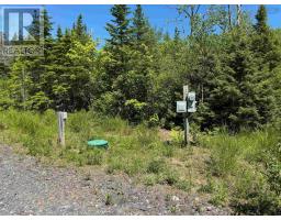 12 Johnny Cash Lane, Juniper Mountain, NS B1K0C2 Photo 5