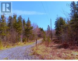 14 Johnny Cash Lane, Juniper Mountain, NS B1K0C2 Photo 2