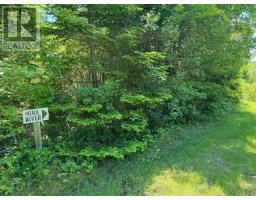 14 Johnny Cash Lane, Juniper Mountain, NS B1K0C2 Photo 5