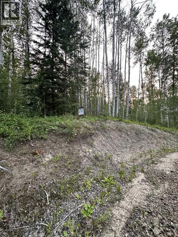 15 Wapiti River
