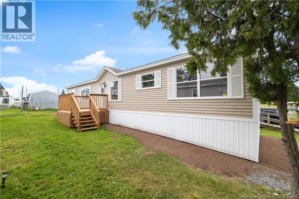 15 Shamrock Street