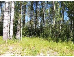 Lot 20 Wapiti River Sw 21 69 10 W 6, Rural Grande Prairie No 1 County Of, AB T0H1J0 Photo 2