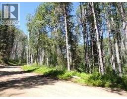 Lot 20 Wapiti River Sw 21 69 10 W 6, Rural Grande Prairie No 1 County Of, AB T0H1J0 Photo 3
