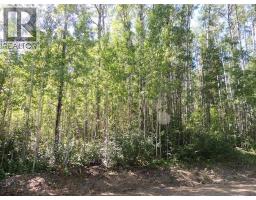 Lot 11 Wapiti River Sw 21 69 10 W 6, Rural Grande Prairie No 1 County Of, AB T0H1J0 Photo 2