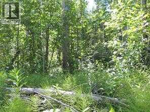 Lot 10 Wapiti River Sw 21 69 10 W 6