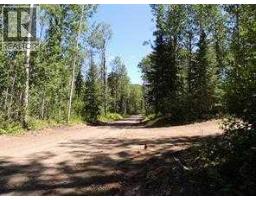 Lot 10 Wapiti River Sw 21 69 10 W 6, Rural Grande Prairie No 1 County Of, AB T0H1J0 Photo 4