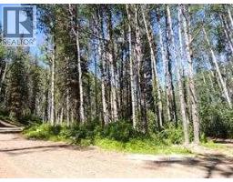 Lot 7 Wapiti River Sw 21 69 10 W 6, Rural Grande Prairie No 1 County Of, AB T0H1J0 Photo 2