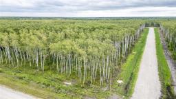 25 Kingsdale Place, Ste Anne Rm, MB R5G1L9 Photo 3