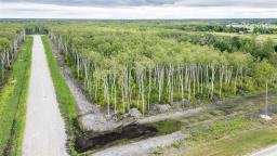 25 Kingsdale Place, Ste Anne Rm, MB R5G1L9 Photo 2