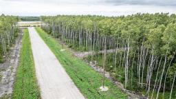 25 Kingsdale Place, Ste Anne Rm, MB R5G1L9 Photo 4