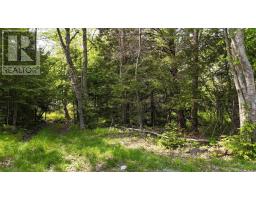 Lot Nathan Croft Road, Camperdown, NS B4V6T9 Photo 5