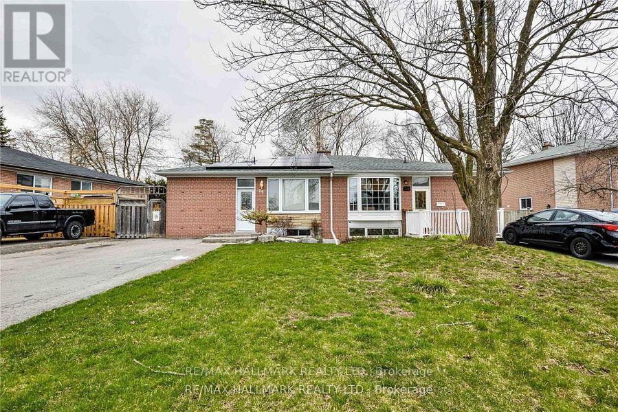 Bsmt 36 Richardson Drive