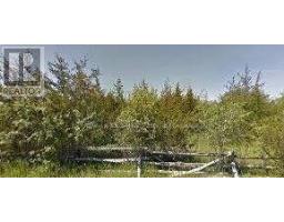 253 Craigen Road, Stone Mills, ON K0K2S0 Photo 2