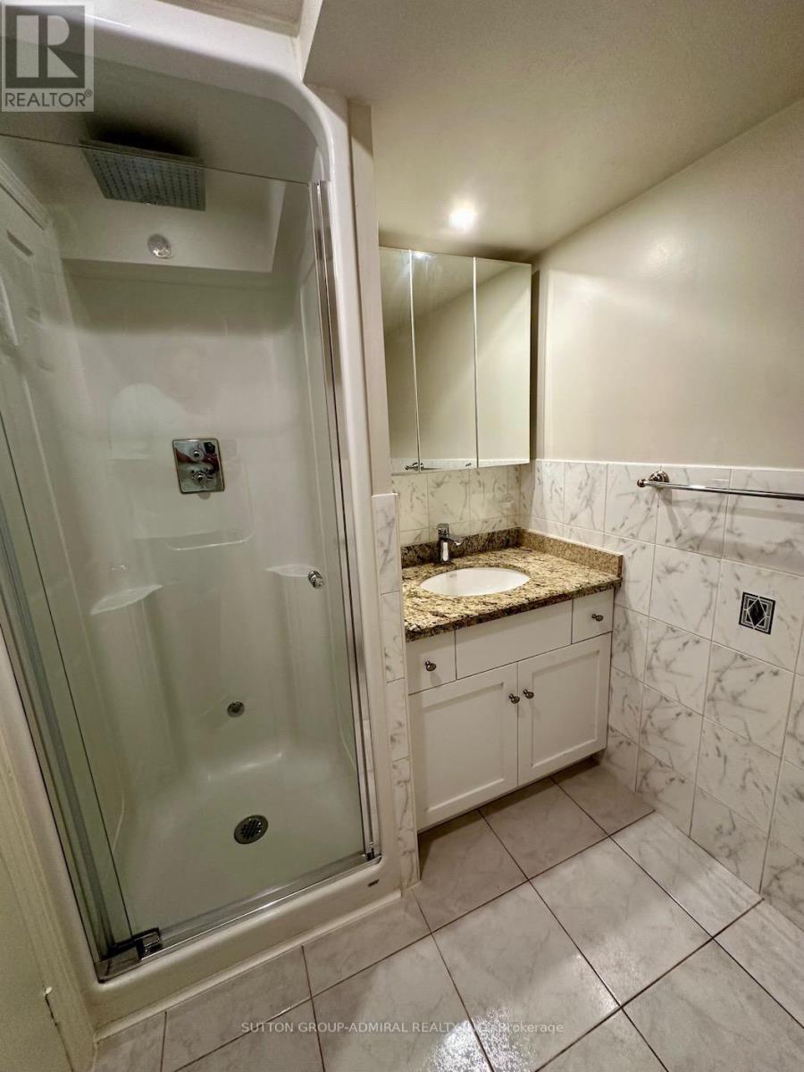 Basement 2013 Carrera Lane