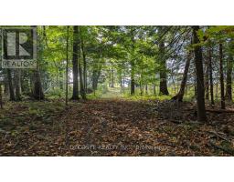 N A Concession 3 Road, North Glengarry, ON K0C2J0 Photo 2