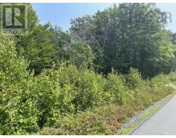 Lot Beech Hill Road, Beech Hill Farms, NS B0T1G0 Photo 2