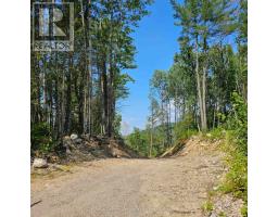 1251 Snake Creek Road, Image 2