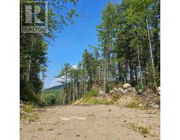 1261 Snake Creek Road, Image 2