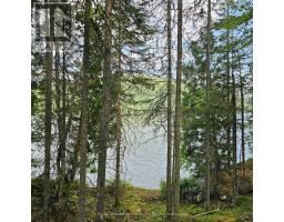 1261 Snake Creek Road, Image 3