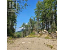 1267 Snake Creek Road, Image 2