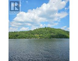 1267 Snake Creek Road, Mattawan, ON P0H1V0 Photo 5