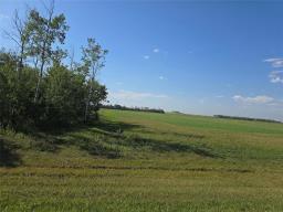 4 Hunter Road, Springfield Rm, MB R5T0G8 Photo 2