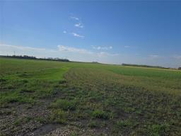 4 Hunter Road, Springfield Rm, MB R5T0G8 Photo 5