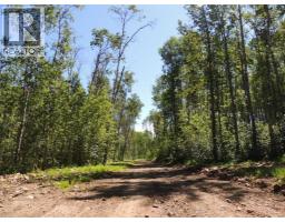 Lot 27 Wapiti River Sw 21 69 10 W 6, Rural Grande Prairie No 1 County Of, AB T0H1J0 Photo 2
