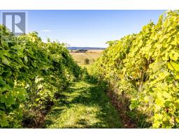 1441 Church Street, Port Williams, NS B0P1T0 Photo 4