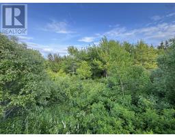 28 Parkland Place, Dalem Lake, NS B1Y2X9 Photo 2