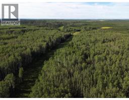 17408 279 Road, Fort St John, BC V0C2L0 Photo 3