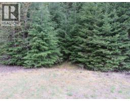 Lot B 3 Highway, Salmo, BC V0G1Z0 Photo 2